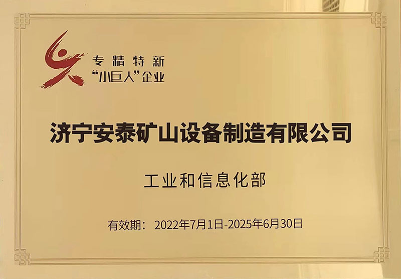 12專精特新“小巨人”企業